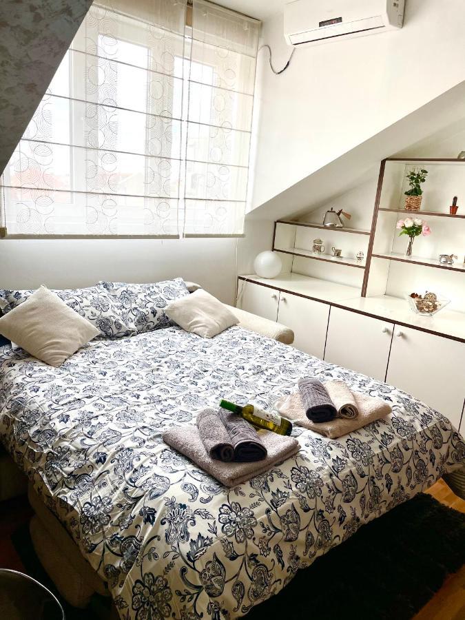 Triangle City Apartment 1 贝尔格莱德 外观 照片